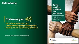 Die Risikoanalyse nach dem Lieferkettensorgfaltspflichtengesetz LkSG und die Handreichung des BAFA [upl. by Sirotek]