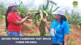 Sisters from Cameroon visit Grace Farms  Rwanda  Dragon Fruits [upl. by Ayerf]