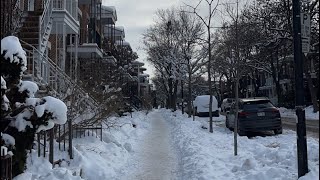 Living in Montreal 🐿️  our year on WHV Canada 🇨🇦 [upl. by Damek]