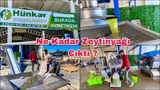 243 Kilo Zeytinden Bakın Kaç Kilo Zeytinyağı Çıktı  Osmaniye Sumbas [upl. by Enid]