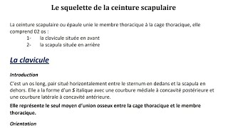 Première année médecine anatomie de la clavicule [upl. by Bunnie]