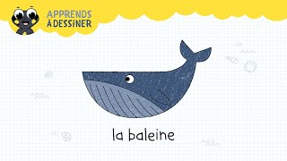 Apprend à dessiner avec Sam 26  La baleine [upl. by Annawal]