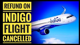 How to cancel indigo flight and get refund  Flight91 [upl. by Nayrb]