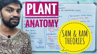 Plant Anatomy  Root and Shoot apical meristem theories  RAM and SAM Theories [upl. by Kelsy]