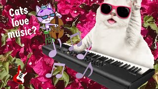 Sounds Cats Love  Do cats love music cat catmemes catlover musicforcat asmr 猫動画 猫 [upl. by Marou]