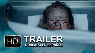 Lobo Vikingo 2022  Trailer en español  Netflix [upl. by Eelaroc]