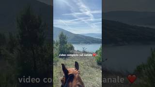 SORPRESA A CAVALLO 🏇 nature music adventure horseriding sister [upl. by Lavelle]