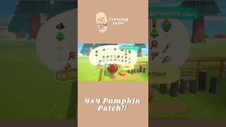 Making Mini Builds in ACNH  Pumpkin Patch acnhinspo acnhspeedbuild acnhdesigns acnh acnhchill [upl. by Darci]