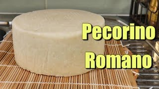 How to make Pecorino Romano at home using Raw Milk [upl. by Gillmore287]