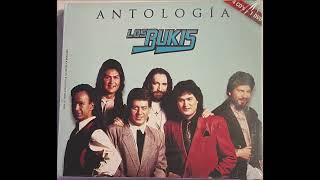 Los Bukis  Mi ironía audio HQ HD [upl. by Aelahs349]