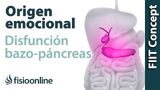 Origen emocional de la disfunción de bazopáncreas [upl. by Eaner]