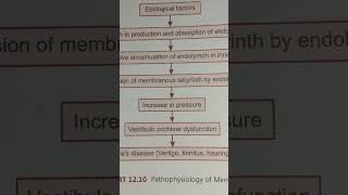 pathophysiology of menieres disease 👍AHN  topic Ear disorder [upl. by Yenohtna]