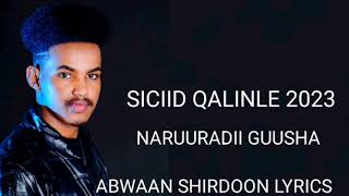 SICIID QALINLE HEES CUSUB NARUURADA GUUSHA 2023 OFFICIAL VIDEO [upl. by Zantos]