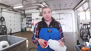 Starting Strong A Day in the Life of a Calf Raiser  Colostrum Protocols May 2019 [upl. by Esra331]