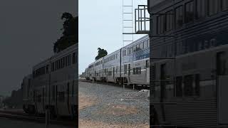 Insane Hornshow and Goofy Doppler From AMTK 6901 Fouled High Pitched K5LA shorts surfliner [upl. by Eilrebma]