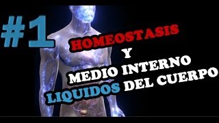 HOMEOSTASIS Y MEDIO INTERNO Retroalimentación Positiva y Negativa [upl. by Engedi950]