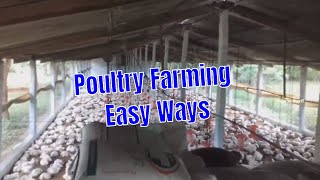 Broiler Poultry Farming Method with Project Report  Poultry Farming Easy Ways [upl. by Ailekahs]