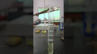 Millons Reagent Test  Egg Albumin  Protein Test viral [upl. by Ailina]