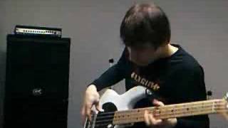 RHCP  Mellowship Slinky In B Major Bass Cover [upl. by Ahsimin]