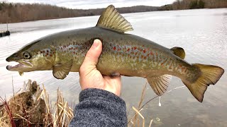 Fishing for Landlocked Atlantic Salmon and Trout in New Jersey [upl. by Repinuj]