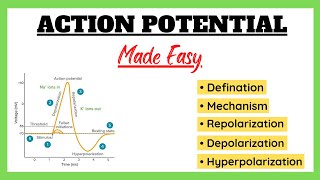 Action Potential Depolarization Repolarization Refractory Period Physiology Made Easy [upl. by Viridissa]