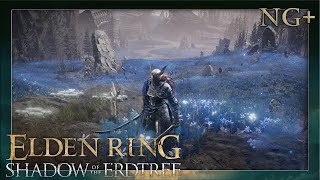 Das himmelblaue Ufer 6 ⚔️ ELDEN RING  Shadow of the Erdtree [upl. by Iccir208]