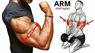 Full Arms Exercises with Dumbbells  Biceps and Triceps [upl. by Derward87]