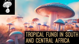 Tropical Fungi in S America amp Central Africa  Professor Terry Henkel [upl. by Naujtna94]