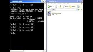 basic dos command tutorial part3 attrib command [upl. by Hole]