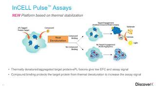 Create Your Own Cellular Compound Target Engagement Assay  May 18 2017 [upl. by Peltz]