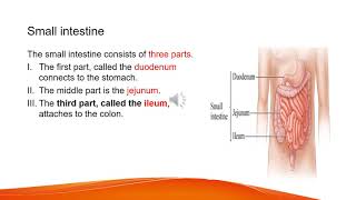 Biology Grade 9 unit 3 part six [upl. by Airetnohs]