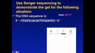 Sanger Sequencing Exercise [upl. by Robma219]