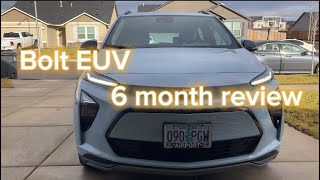 Bolt EUV 6 month review [upl. by Shreeves]