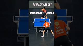 last match of the final 🥵 Darko Jorgic vs Timo Boll [upl. by Ajna]