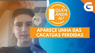 🐦 NOVIDADES SOBRE AS CACATÚAS DESAPARECIDAS EN VIGO [upl. by Naruq116]