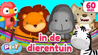 Pretlettertjes • Dierengeluiden in de Dierentuin • 60 min Special [upl. by Florinda]