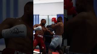 Roy Jones Jr has insane speed  Undisputed Boxing Game clips [upl. by Aihsiym]