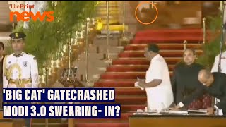 Big cat gatecrashed Modi 30 swearingin [upl. by Haymo628]