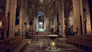 Uppsala Cathedral in Sweden  Full Walking Tour 4K [upl. by Orrocos]