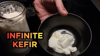 How to make KEFIR every day WITHOUT GRAINS  from store bought milk  asmr [upl. by Eniamerej]