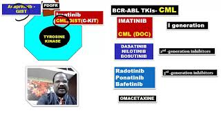 Tyrosine kinase inhibitors by DAMS Faculty [upl. by Nnaeiluj650]