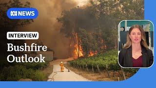 What is the bushfire outlook for this summer  ABC NEWS [upl. by Adnowal]