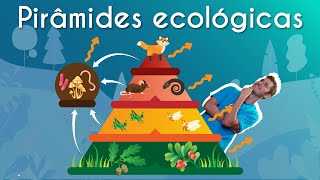 Pirâmides ecológicas  Brasil Escola [upl. by Arytas541]