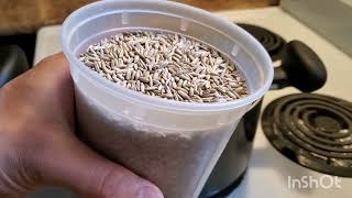 How to make grain spawn using the instant pot [upl. by Outhe]