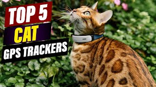 Top 5 Best Cat GPS Trackers for 2024 A Comprehensive Review [upl. by Dmitri]