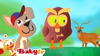 Perroquet coloré 🦜🌈  Animaux pour toutpetits 👶 BabyTVFR [upl. by Aicerg]