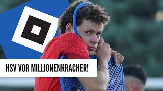 MILLIONENKRACHER des HSV Verletzungsdrama MegaTransfers und TrainingsSchock [upl. by Asreht]