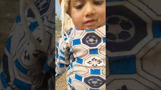 Vansh Aaj cricket khel ne aaya haicricketcutebaby viralshorts music [upl. by Ecam]