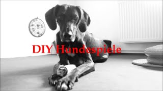 DIY  5 Leckerlie Spiele für Hunde ganz einfach selber machen [upl. by Assed771]