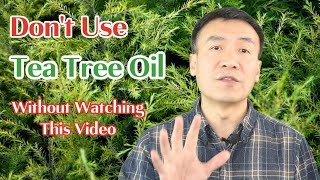 Tea Tree Oil Benefits Uses and Safety How to Use Tea Tree Essential Oil Caution Using TTO [upl. by Bridges292]